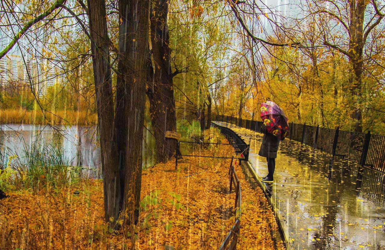 Дождь в парке