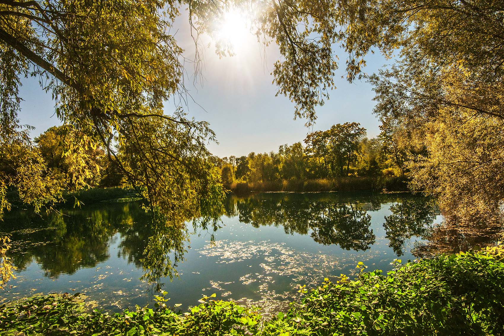 Солнечный день