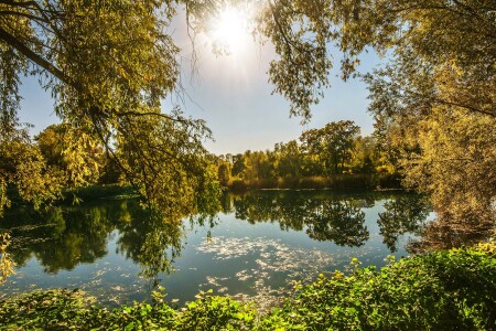 Солнечный день