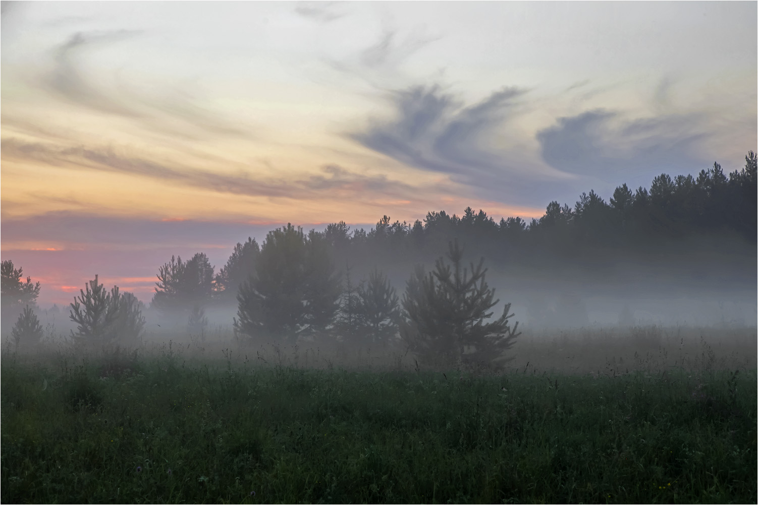 Июльским вечером