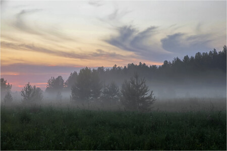 Июльским вечером