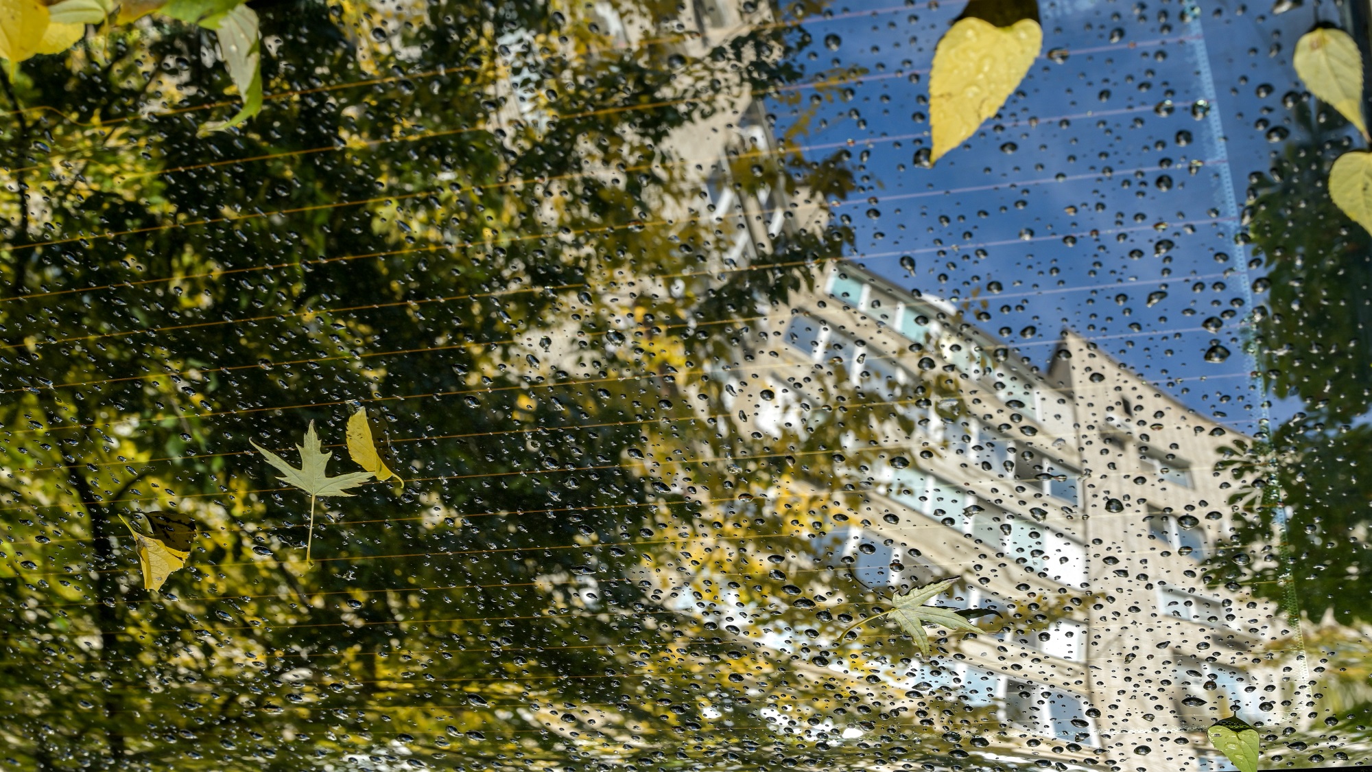 Осенние абстракции