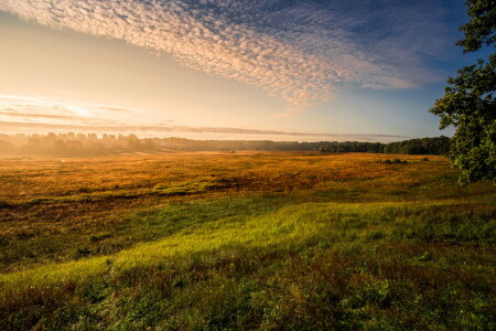 Утренняя палитра
