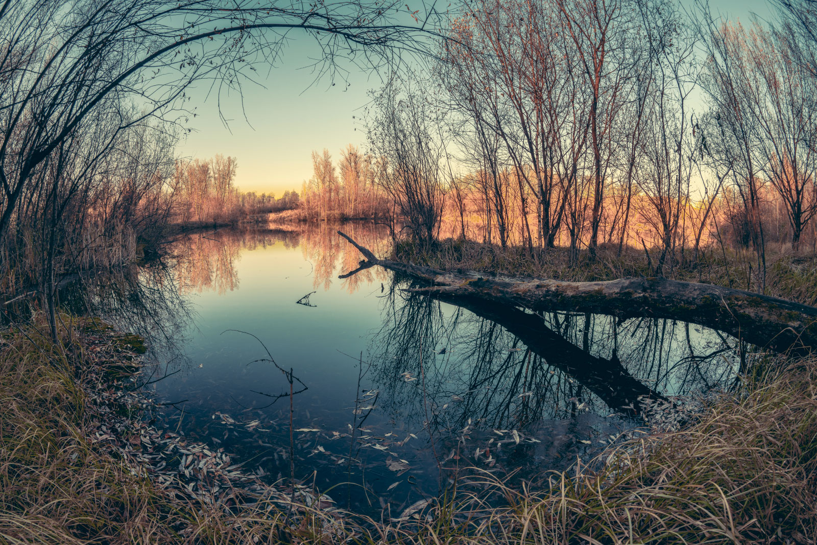 Осенний вечер у реки.