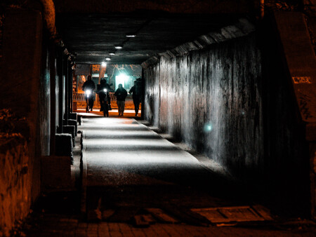 Диггеры начало