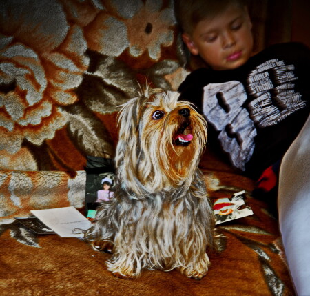 Прошу внимания.