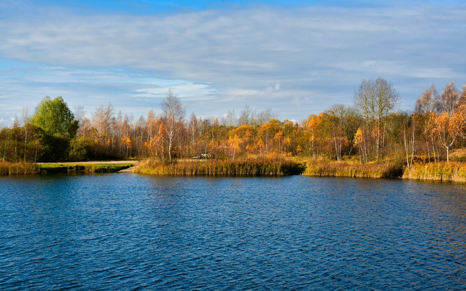 Природа Смоленщины 