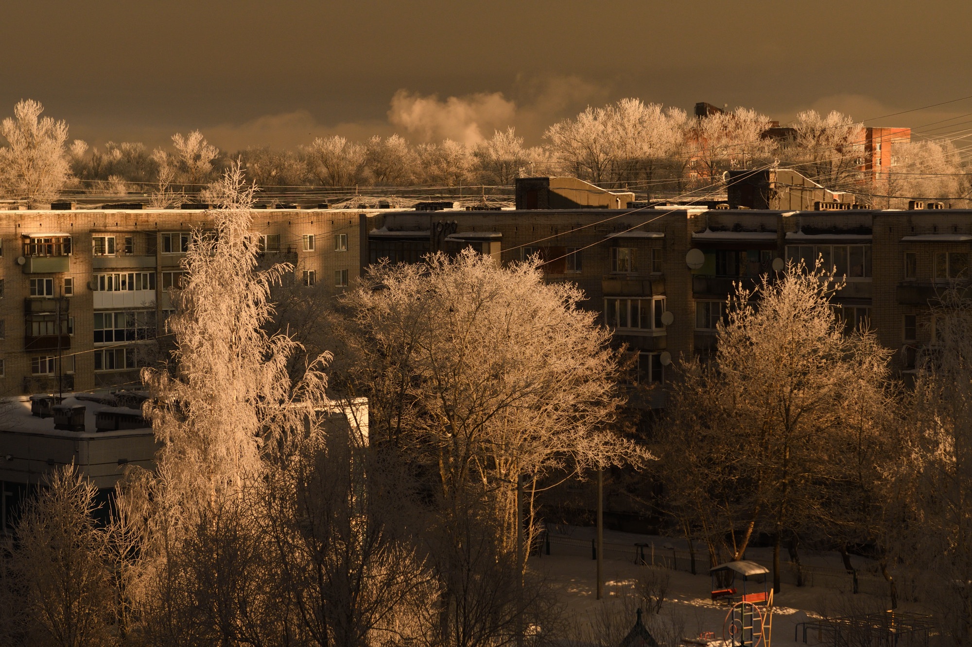 Одно зимнее утро