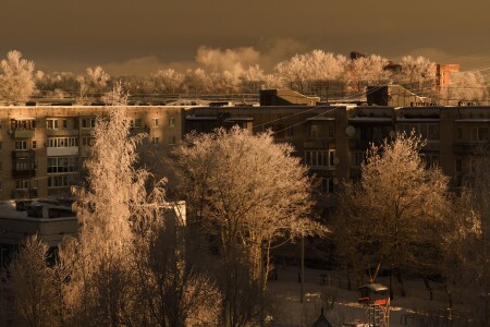 Одно зимнее утро