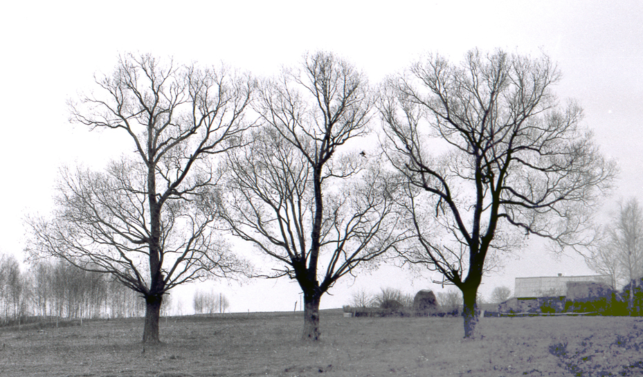 Без названия...