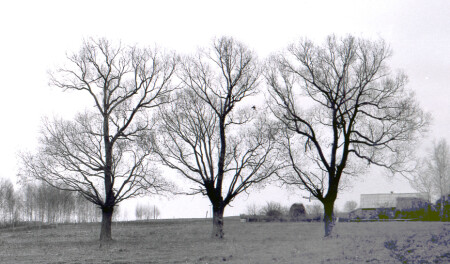 Без названия...