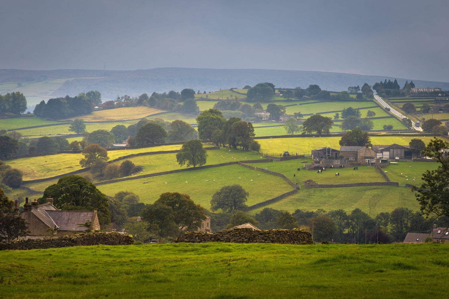 Сельский пейзаж