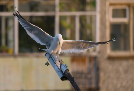 Специально для вас