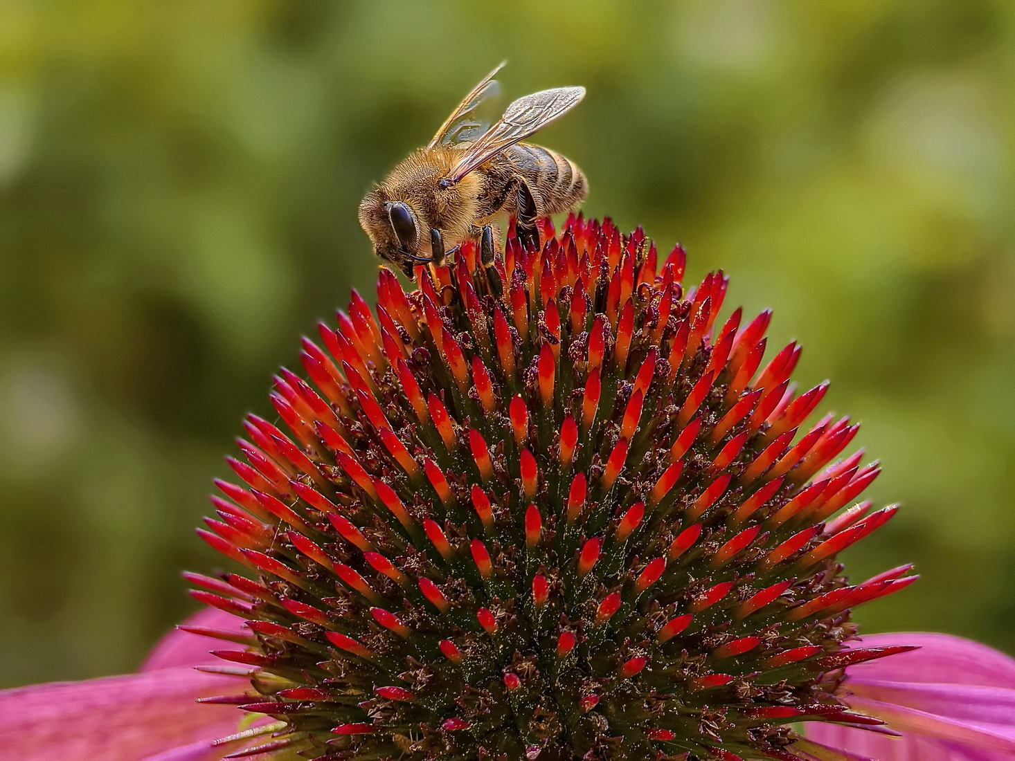 иглотерапия