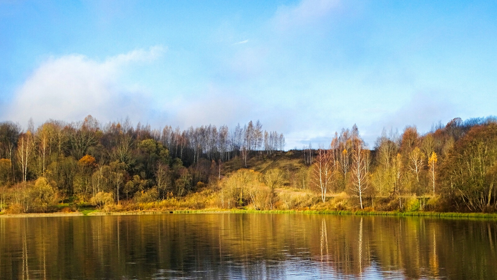 Природа Смоленщины 