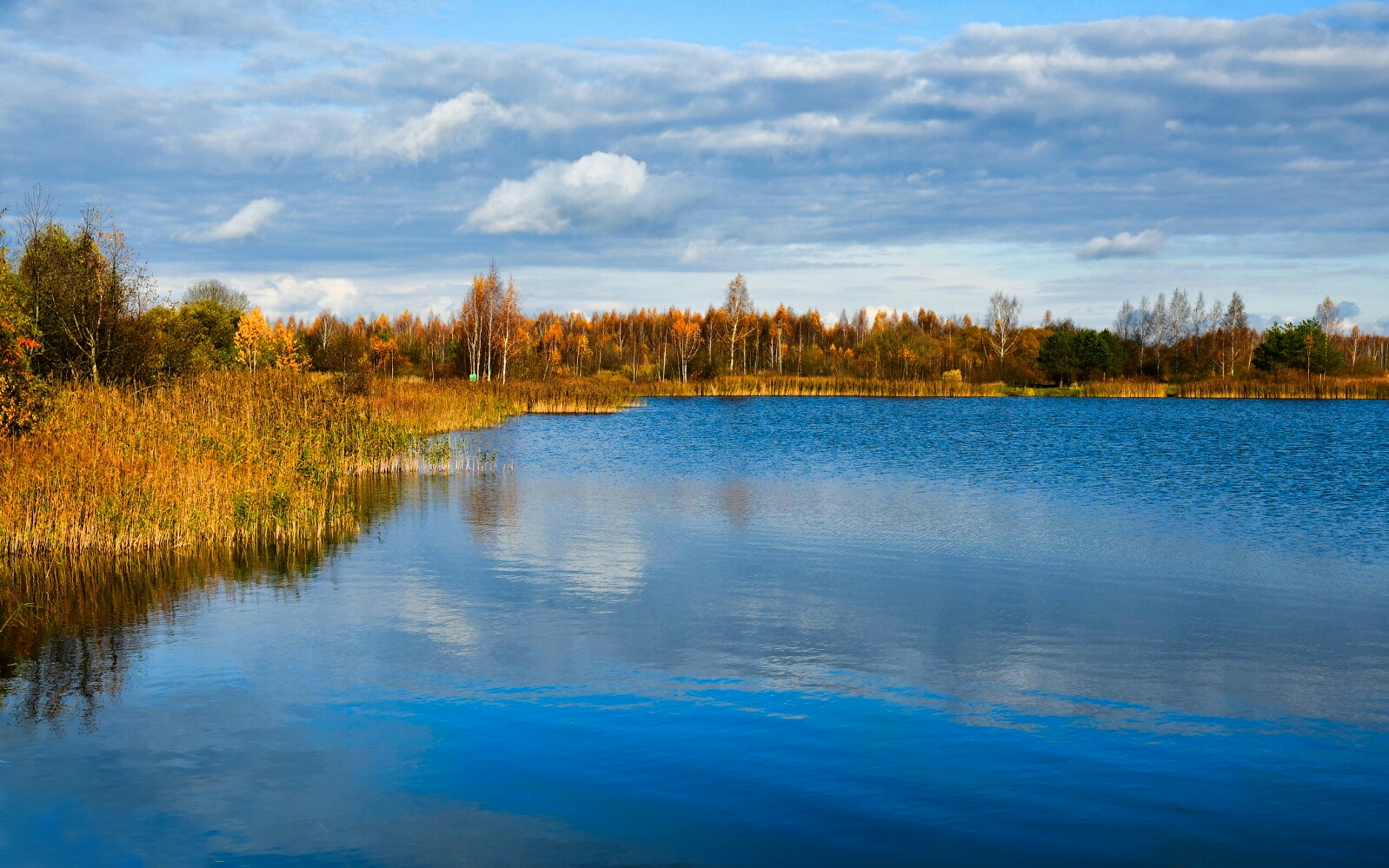 Природа Смоленщины 