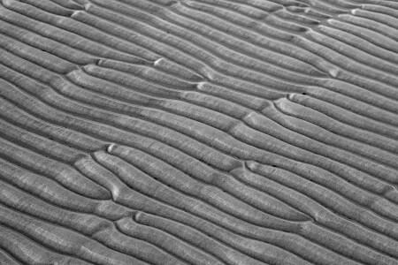 Морское дно