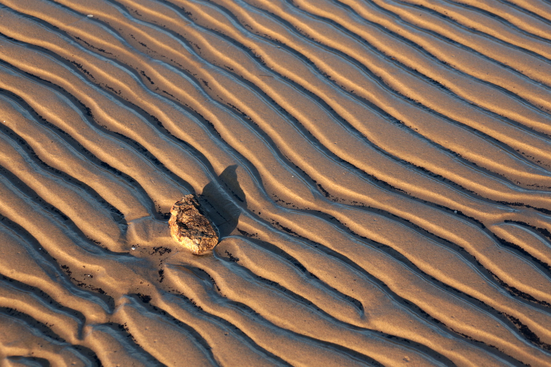 Морское дно,,2