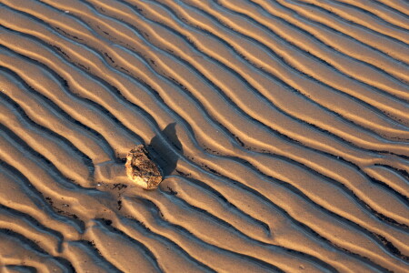 Морское дно,,2