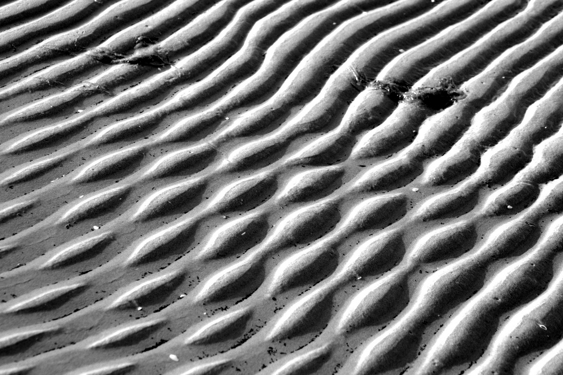 Морское дно,,3