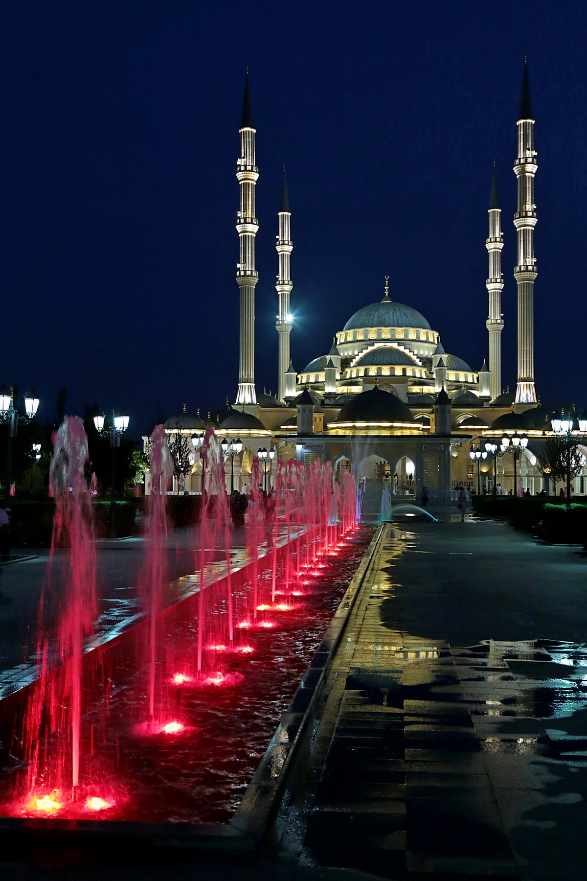 Сердце Чечни