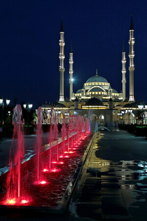 Сердце Чечни