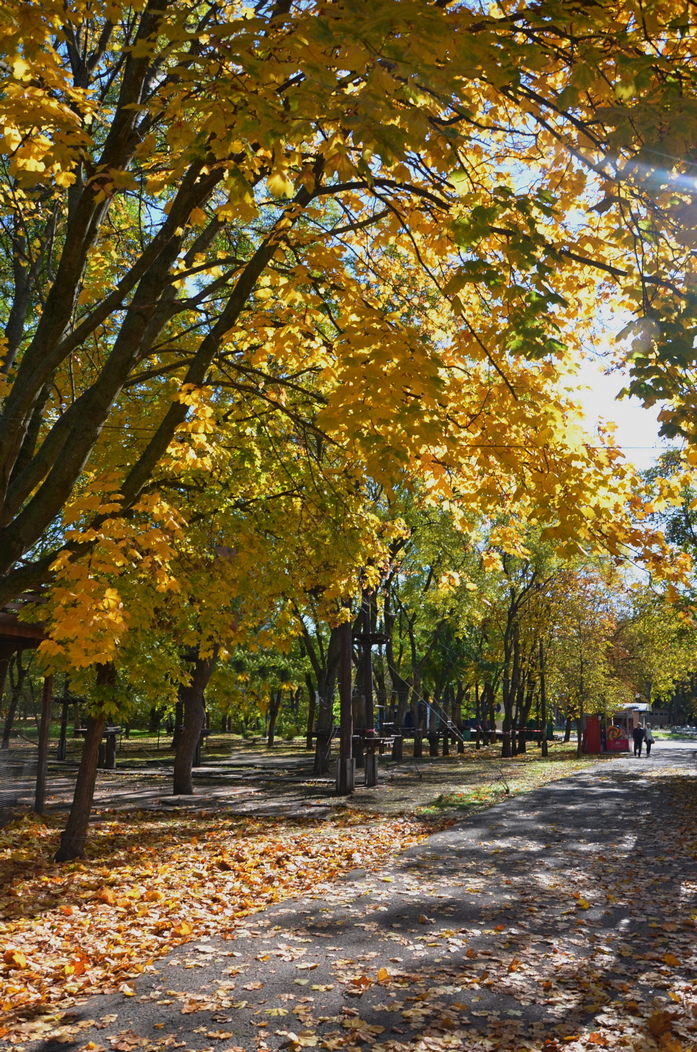 зарисовка осени