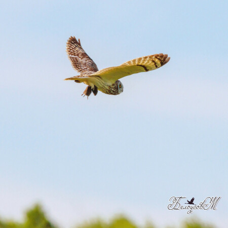 Родительские хлопоты.