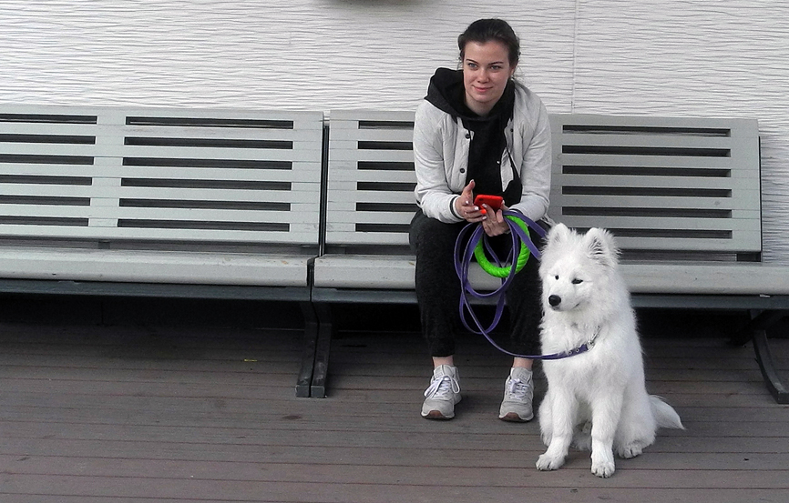 Без названия...