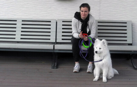 Без названия...