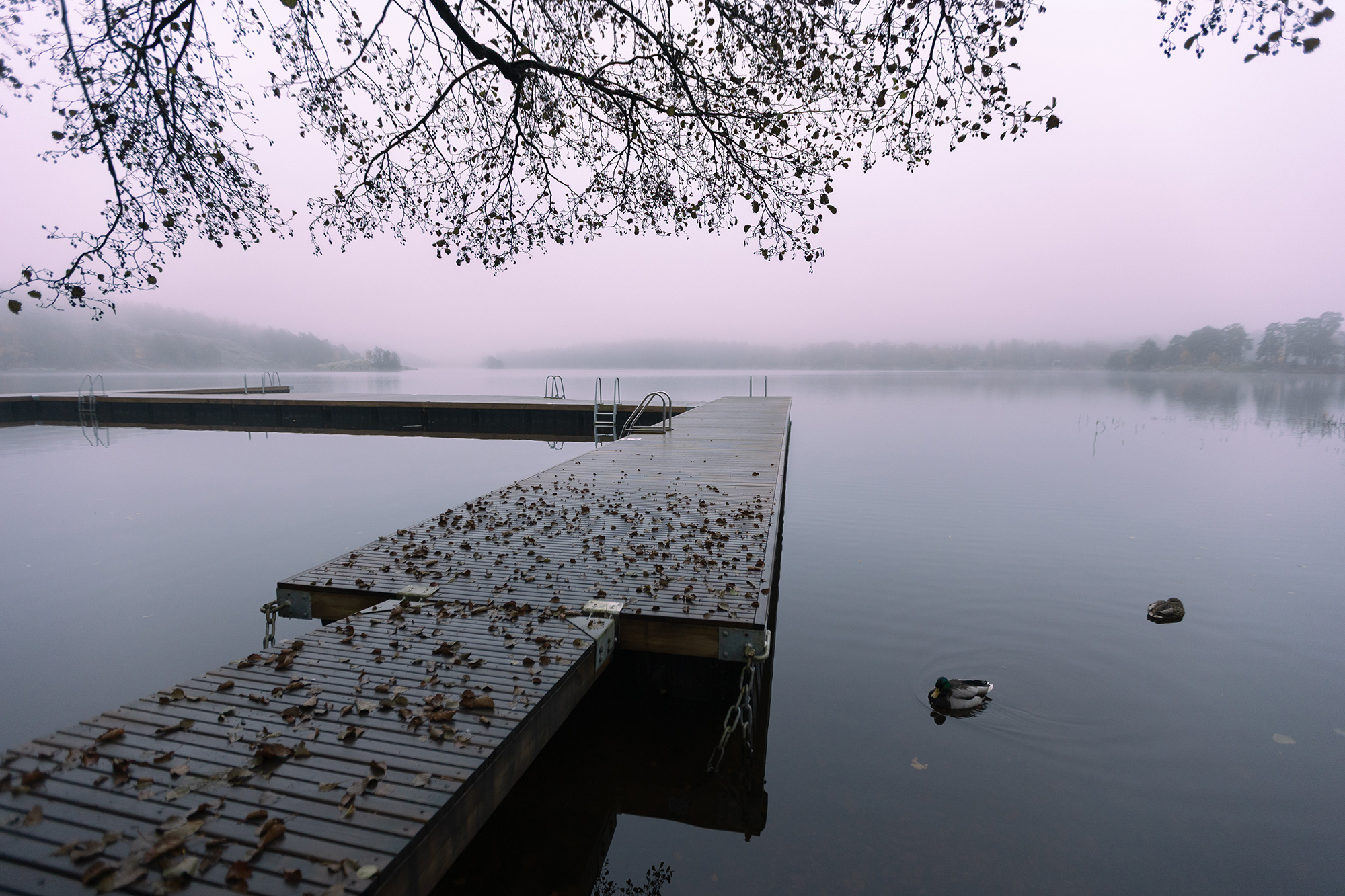 Купальный сезон закончен