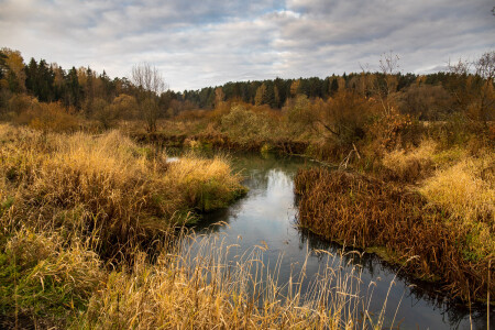 По тихой осени...