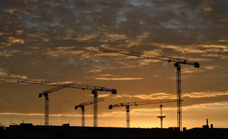 Краны на рассвете