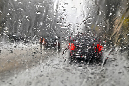 В ритме дождя