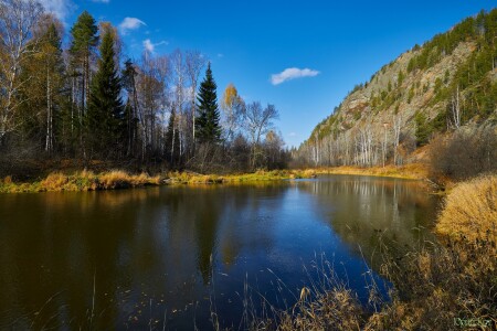 Солнечный полдень октября.