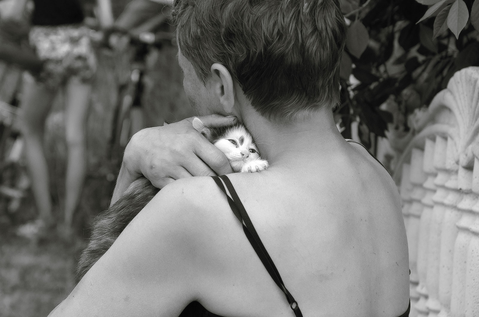 Был задушен от любви...