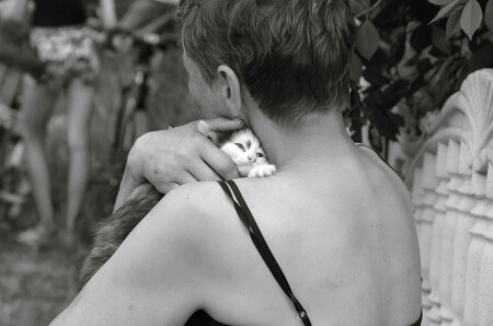 Был задушен от любви...