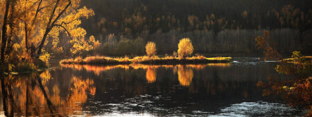 Поджигало солнце осень.