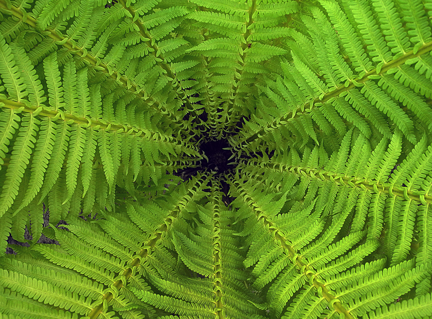 Без названия...