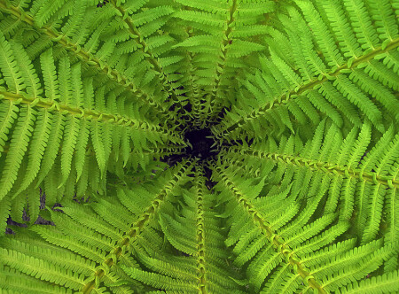 Без названия...