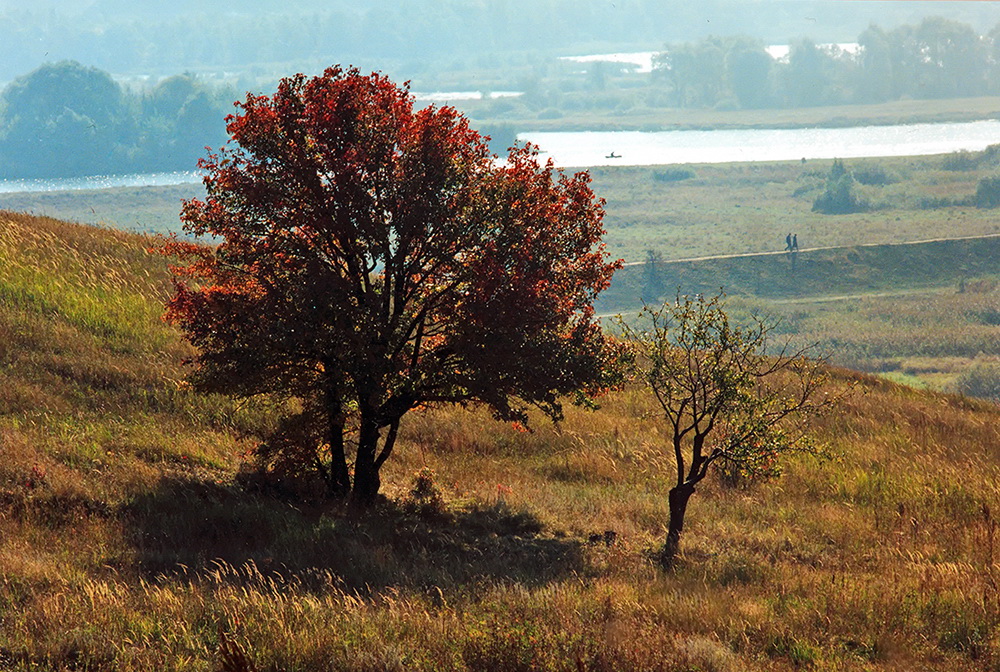 Осенний этюд.