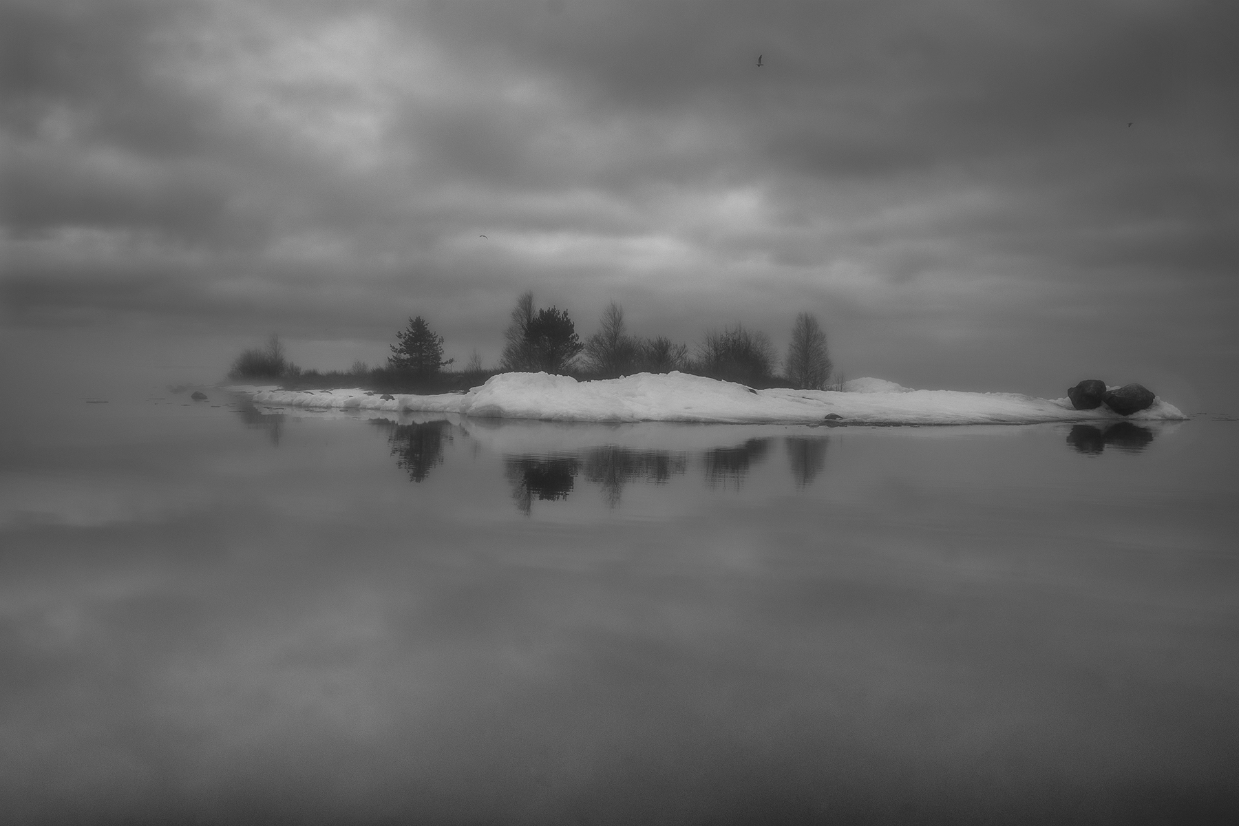 Выг вскрылся. 