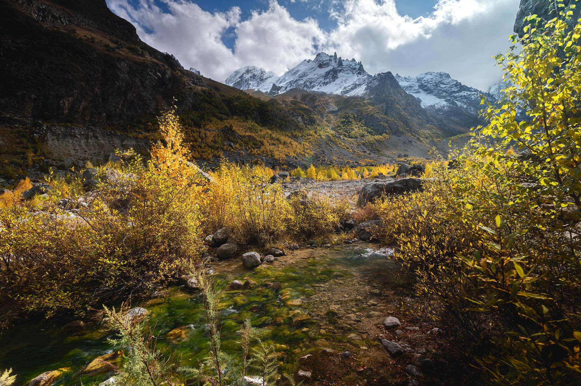 Горный родник