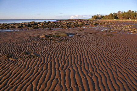 Отлив в Белом море