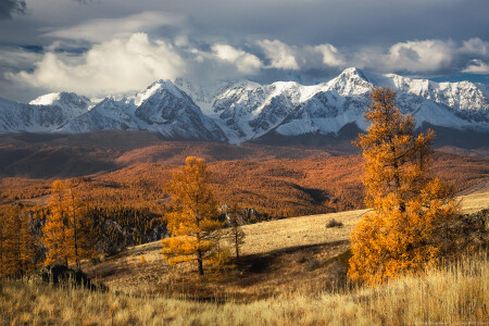 Курайская степь