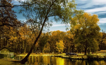 Парк с пушками