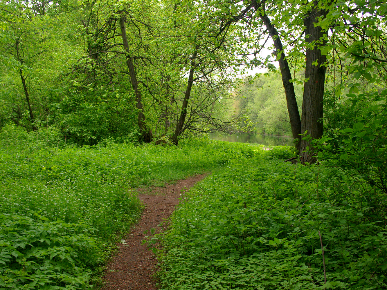 Кузьминский парк