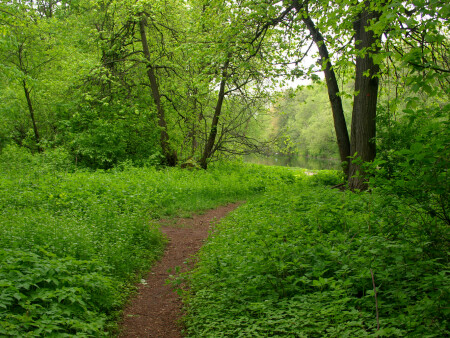 Кузьминский парк