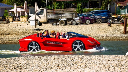 ...а этот водоплавающий...