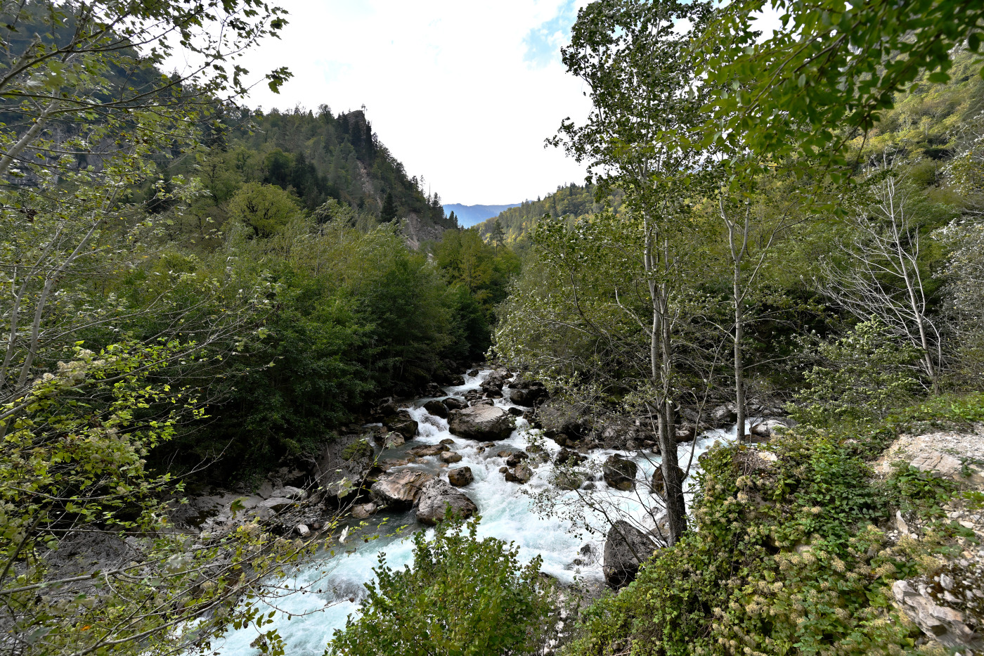 подельники(